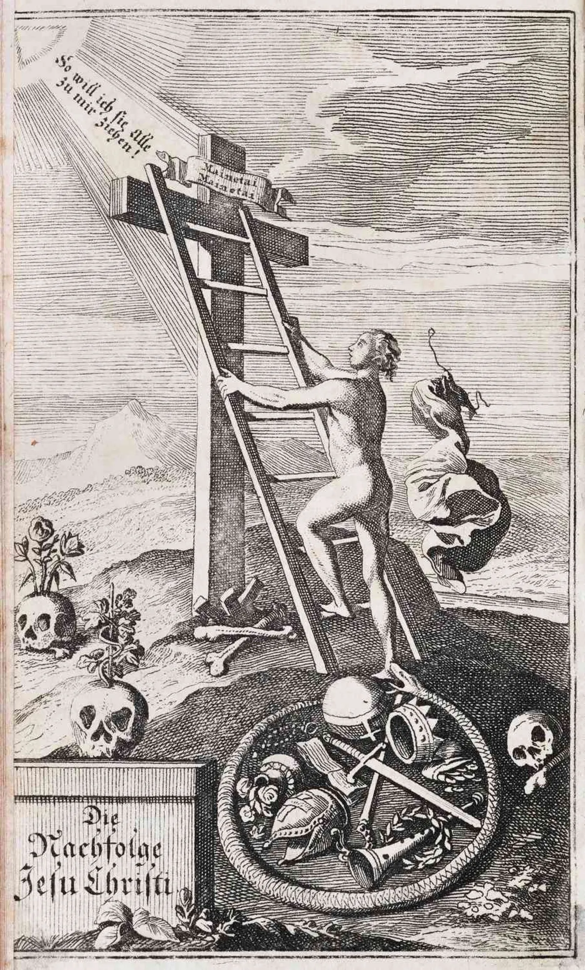 ./image.jpg